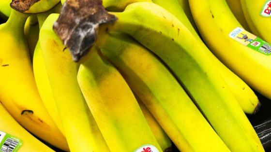 الموز "ثمرة ذهبية" لنوم هادئ.. إليك كيف يحارب الأرق ليلاً